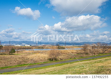 大阪府枚方市淀川公園出口區域 137492255