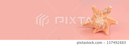 Banner with copy space. Engagement Ring on Seashell Banner with copy space. Engagement Ring on Seashell 137492883