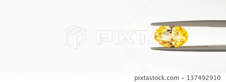 Banner with copy space. A yellow gemstone is being held up by a metal clamp Banner with copy space. A yellow gemstone is being held up by a metal clamp 137492910