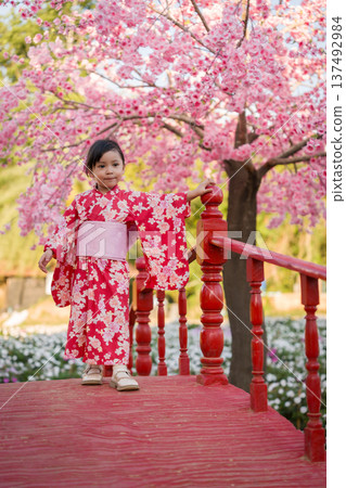 preschool child girl in yukata (kimono dress) on red bridge with sakura flower or cherry blossom blooming in garden preschool child girl in yukata (kimono dress) on red bridge with sakura flower or cherry blossom blooming in garden 137492984
