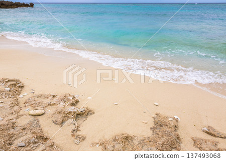 The beautiful shores of Minna Island, Okinawa Prefecture The beautiful shores of Minna Island, Okinawa Prefecture 137493068