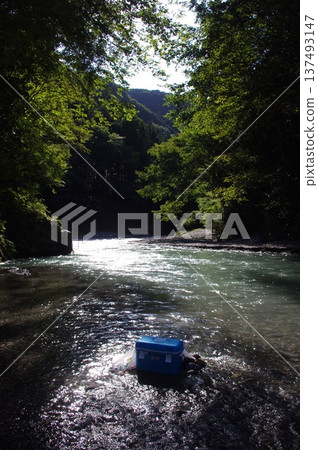 夏季河上娛樂和露營 夏季河上娛樂和露營 137493147