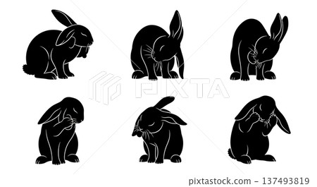 Black Solid Grooming Bunny Silhouettes Set of Six on White Background Black Solid Grooming Bunny Silhouettes Set of Six on White Background 137493819