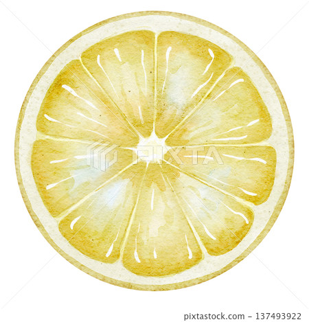 Watercolor illustration of Lemon Slice with detailed pulp texture and translucent flesh. Citrus fruit element isolated for food packaging, recipe design, kitchen prints, menus and branding. 137493922