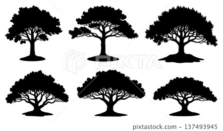 Black Solid Heavy Limb Pine Tree Silhouettes Set of Six Black Solid Heavy Limb Pine Tree Silhouettes Set of Six 137493945