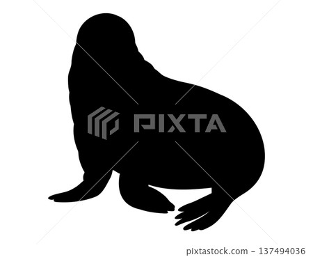Walrus silhouette vector illustration on isolated background. Shadow of sea animal painted by black inks for tundra fauna themes, icon and graphic design. Art of marine mammal. Walrus silhouette vector illustration on isolated background. Shadow of sea animal painted by black inks for tundra fauna themes, icon and graphic design. Art of marine mammal. 137494036