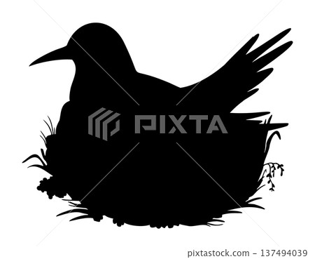 Arctic seabird silhouette in nest vector illustration on isolated background. Shadow of Bird painted by black inks wildlife element for tundra fauna themes, icon, print and graphic design. 137494039