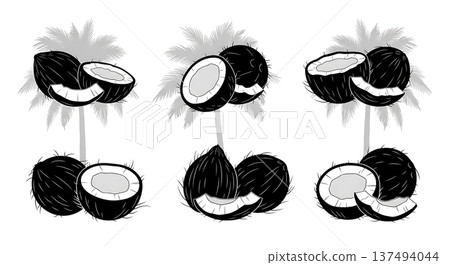 Black Solid Coconut Husk Palm Silhouettes Set of Six on White Background Black Solid Coconut Husk Palm Silhouettes Set of Six on White Background 137494044