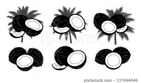 Black Solid Coconut Husk Palm Silhouettes Set of Six on White Background 137494046
