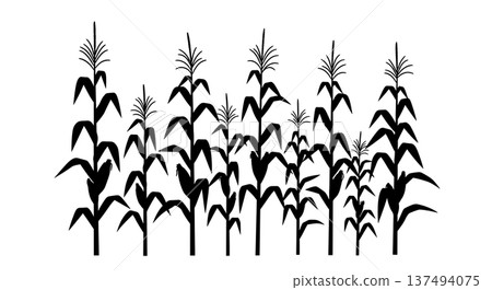 Black Solid Corn Stalk Silhouettes Set of Six on White Background 137494075