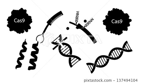 Black Solid CRISPR Gene Editing Silhouettes Set of Six on White Background Black Solid CRISPR Gene Editing Silhouettes Set of Six on White Background 137494104