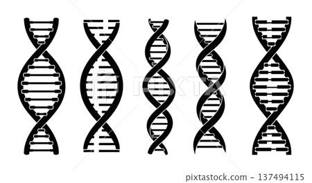 Black Solid Cross DNA Helix Silhouettes Set of Six on White Background Black Solid Cross DNA Helix Silhouettes Set of Six on White Background 137494115