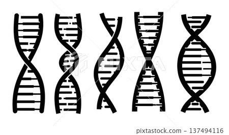 Black Solid Cross DNA Helix Silhouettes Set of Six on White Background 137494116