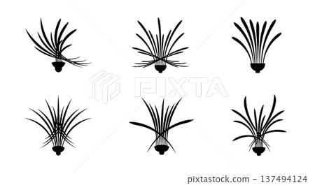 Black Solid Crystal Chandelier Light Silhouettes Set of Six on White Background Black Solid Crystal Chandelier Light Silhouettes Set of Six on White Background 137494124