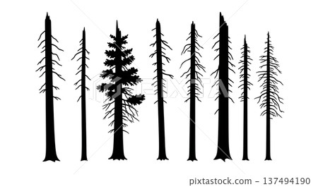 Black Solid Dead Standing Pine Silhouettes Set of Six Black Solid Dead Standing Pine Silhouettes Set of Six 137494190