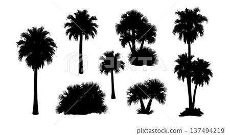 Black Solid Desert Oasis Palm Tree Silhouettes Set of Six 137494219