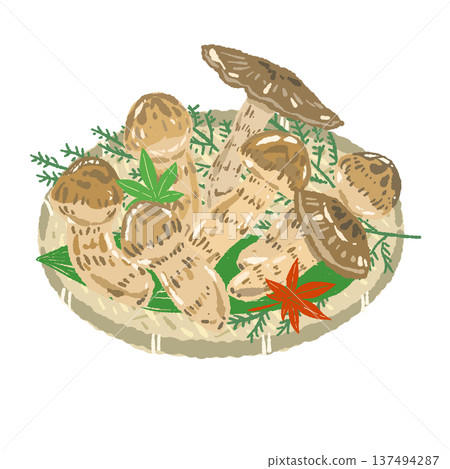 手繪插圖，描繪了盛放在濾盆中的秋季蘑菇拼盤（松茸）。 137494287