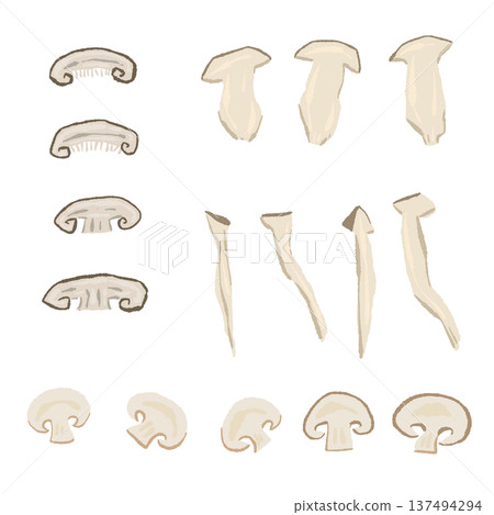 Hand-drawn illustration of sliced mushrooms (mushrooms, etc.) Hand-drawn illustration of sliced mushrooms (mushrooms, etc.) 137494294