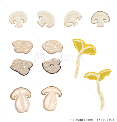 一套各種西式蘑菇的變體，手繪插圖 137494303