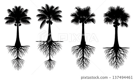 Black Solid Exposed Palm Root Silhouettes Set of Six on White Background 137494461