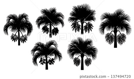 Black Solid Flowering Palm Tree Silhouettes Set of Six Black Solid Flowering Palm Tree Silhouettes Set of Six 137494720