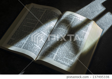 An open Holy Bible displays the text of I Chronicles 28 and 29. Dramatic sunlight creates a strong diagonal shadow across the pages, highlighting the paper texture and spiritual atmosphere 137495336