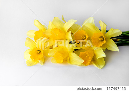 Bright yellow daffodil bouquet on white background, fresh spring flowers Bright yellow daffodil bouquet on white background, fresh spring flowers 137497433