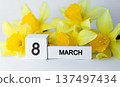 Eight March calendar cube with yellow daffodil in a bright spring bouquet scene vibrant composition 137497434