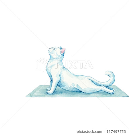 貓咪做瑜珈上犬式,水彩畫,眼鏡蛇式 貓咪做瑜珈上犬式,水彩畫,眼鏡蛇式 137497753