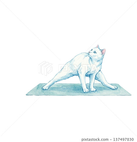 貓咪做瑜珈三角水彩伸展柔軟度 137497830