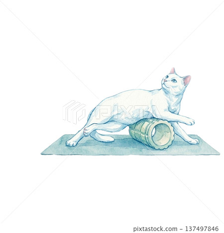 貓咪用泡沫軸放鬆筋膜，水彩拉伸 137497846