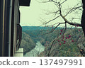 Roof entwined with autumn leaves and ivy 137497991