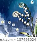 Lily of the valley wet with night dew 137498024