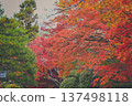 Momiji who changed leaves 137498118