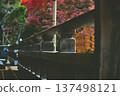 Landscape with autumn leaves 137498121