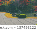 Landscape with autumn leaves 137498122