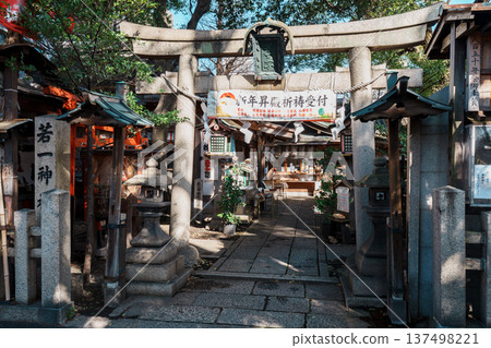 Young Shrine Young Shrine 137498221
