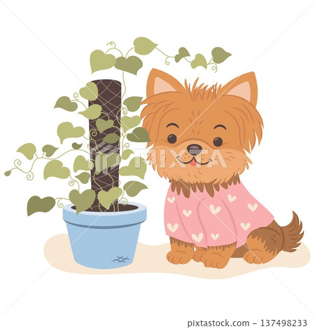 Adorable yorkshire terrier puppy sitting near decorative hanging house plant. Cute cartoon dog vector illustration ideal for stickers, nursery decor, school design and printable graphics. 137498233