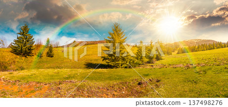 sunset over panorama of a beautiful countryside. wonderful springtime landscape in mountains. spruce forest, grassy field and rolling hills. rural scenery under the rainbow sunset over panorama of a beautiful countryside. wonderful springtime landscape in mountains. spruce forest, grassy field and rolling hills. rural scenery under the rainbow 137498276