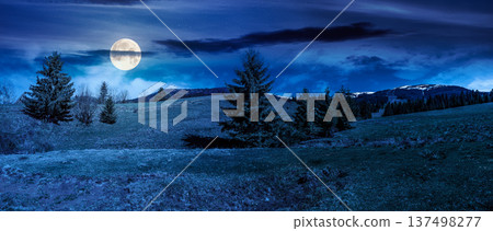 panorama of a beautiful countryside at night. full moon over wonderful springtime landscape in mountains. spruce forest, grassy field and rolling hills. mysterious rural scenery panorama of a beautiful countryside at night. full moon over wonderful springtime landscape in mountains. spruce forest, grassy field and rolling hills. mysterious rural scenery 137498277