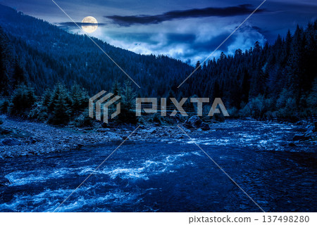 landscape with mountain, forest and a river in front at night. full moon over beautiful scenery of the green valley during spring. mysterious alpine environment for remote outdoor adventure 137498280