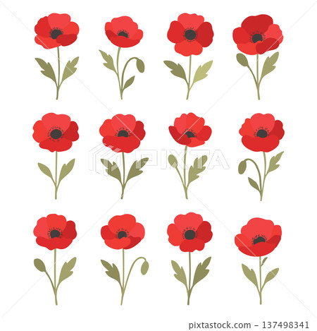 Set of flat style cartoon poppy flowers 137498341