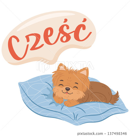 Cute yorkshire terrier dog sleeping in big blue cozy pillow. English translation for Czesc is Hello 137498346