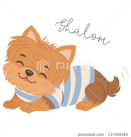 Cute yorkshire terrier dog in cute outfit. English translation for Shalom is Hello 137498360