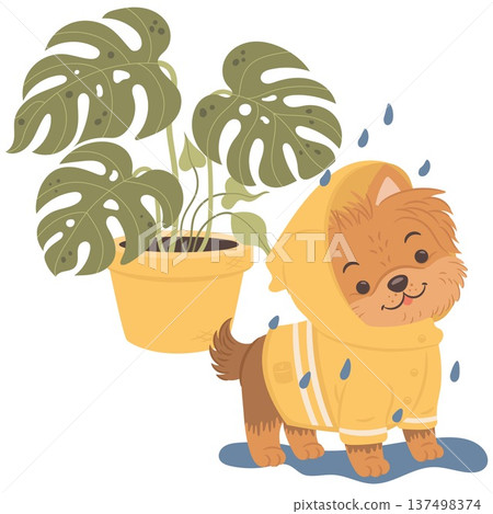 Adorable yorkshire terrier puppy wearing a yellow raincoat standing near monstera plant. Cute cartoon dog vector illustration perfect for stickers, kids graphics and educational materials. 137498374