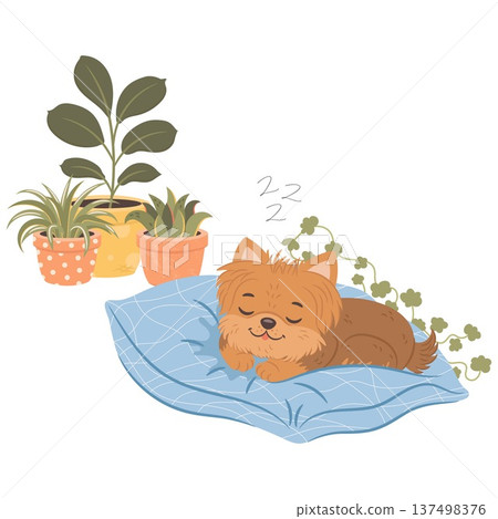 Cute yorkshire terrier puppy sleeping on pillow with house plants. Adorable cartoon dog vector illustration ideal for stickers, nursery decor, education graphics and printable designs. 137498376