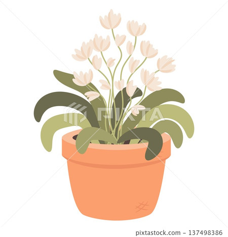 Blossom camellia indoor house plant in decorative pot. Cute flat vector botanical illustration perfect for home decor design, stickers, gardening themes, planners and print products. Blossom camellia indoor house plant in decorative pot. Cute flat vector botanical illustration perfect for home decor design, stickers, gardening themes, planners and print products. 137498386
