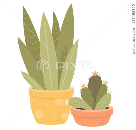Sansevieria and blossom cactus indoor house plants in decorative pots. Cute flat vector botanical illustration perfect for home decor design, stickers, gardening themes, planners and print products. Sansevieria and blossom cactus indoor house plants in decorative pots. Cute flat vector botanical illustration perfect for home decor design, stickers, gardening themes, planners and print products. 137498390
