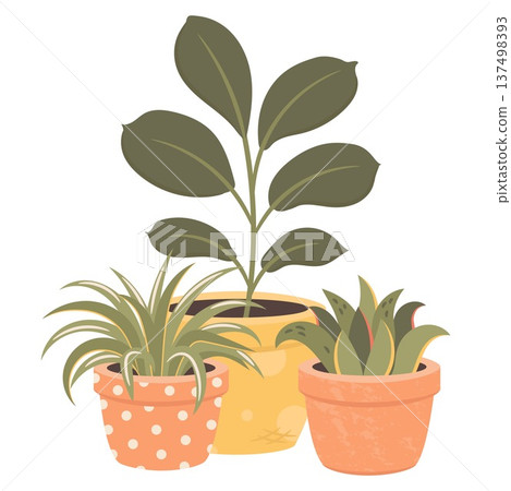 Ficus, dracaena and cactus indoor house plants in decorative pot. Cute flat vector botanical illustration perfect for home decor design, stickers, gardening themes, planners and print products. Ficus, dracaena and cactus indoor house plants in decorative pot. Cute flat vector botanical illustration perfect for home decor design, stickers, gardening themes, planners and print products. 137498393