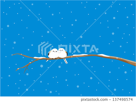 兩隻長尾山雀棲息在覆蓋著雪的樹枝上的插圖 137498574